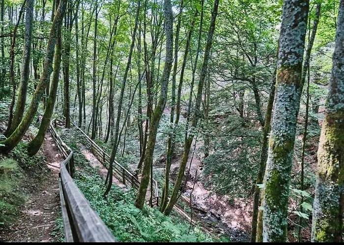 Vakantiehuis Escape Langewiese Winterberg